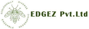 Our Vision | EDGEZ Pvt.Ltd